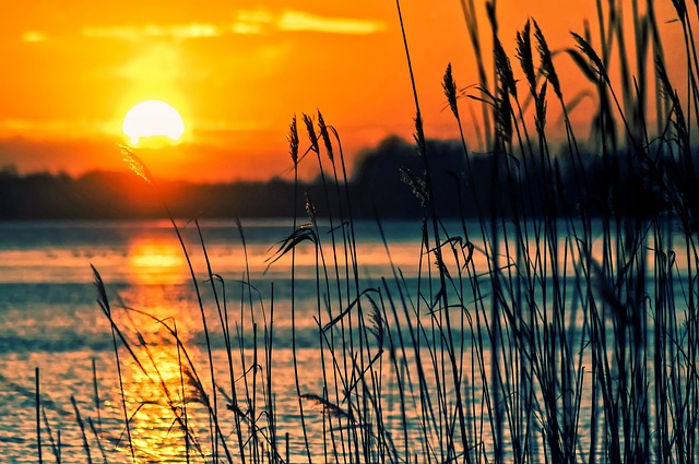 Heb jij ook last van teveel zon?