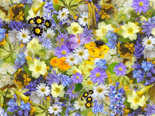 Bloemen